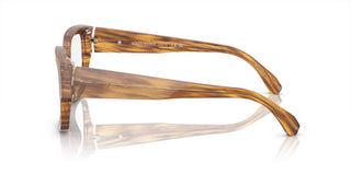 Alain Mikli 0a03504 Men Havana Butterfly Eyeglasses