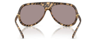 Miu Miu 0mu A01s Women Havana  Sunglasses