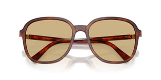 Miu Miu 0mu B01s Women Havana Oversize Sunglasses