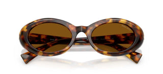 Miu 0MU B09S women Havana Oval Sunglasses