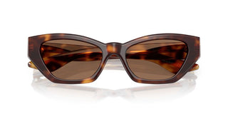 Oliver Peoples 1961c OV 5582SU women Havana Cat Eye Sunglasses