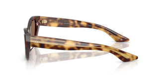 Oliver Peoples 1961c OV 5582SU women Havana Cat Eye Sunglasses