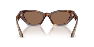 Oliver Peoples 1961c OV 5582SU women Havana Cat Eye Sunglasses