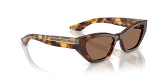 Oliver Peoples 1961c OV 5582SU women Havana Cat Eye Sunglasses