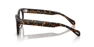 Oliver Peoples Afton Ov 5545u Unisex Havana Pantos Eyeglasses