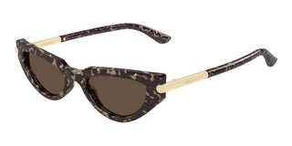 Alexander McQueen AM0520S women Havana Cat Eye Sunglasses