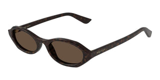 Alexander McQueen AM0559S women Havana Round Sunglasses