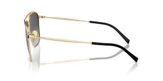 Giorgio Armani Ar 6154 Men Gold Squared Sunglasses