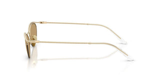 Giorgio Armani Ar 6175 Women Gold Cat Eye Sunglasses