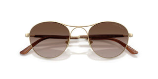 Giorgio Armani Ar 6177 Men Gold Round Sunglasses
