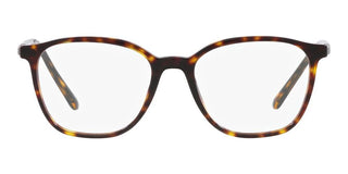 Giorgio Armani AR 7236 men Havana Oval Eyeglasses