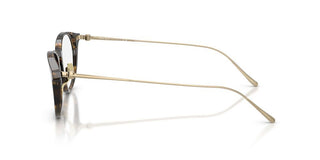 Giorgio Armani AR 7270T men Havana Pantos Eyeglasses