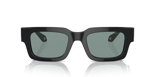 Giorgio Armani Ar 8184u Men Black Geometric Sunglasses