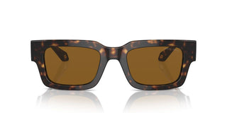 Giorgio Armani Ar 8184u Men Havana Geometric Sunglasses