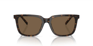 Giorgio Armani AR 8202U men Havana Squared Sunglasses