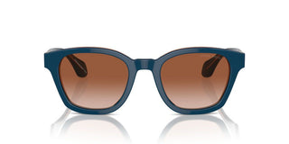 Giorgio Armani Ar 8207 Men Blue Pantos Sunglasses