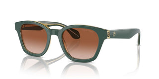 Giorgio Armani Ar 8207 Men Green Pantos Sunglasses