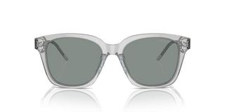 Giorgio Armani Ar 8210u Women Grey Squared Sunglasses