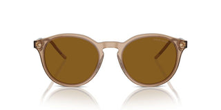 Giorgio Armani Ar 8211 Men Brown Pantos Sunglasses