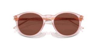Giorgio Armani Ar 8211 Men Pink Pantos Sunglasses