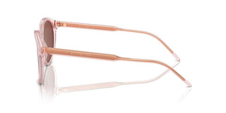 Giorgio Armani Ar 8211 Men Pink Pantos Sunglasses