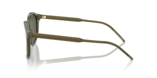 Giorgio Armani Ar 8211 Men Green Pantos Sunglasses