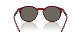 Giorgio Armani AR 8211 men Red Pantos Sunglasses