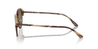 Giorgio Armani Ar 8215 Men Brown Pantos Sunglasses