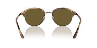 Giorgio Armani Ar 8215 Men Brown Pantos Sunglasses