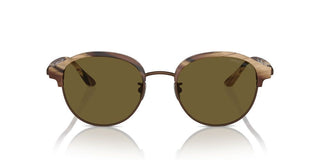 Giorgio Armani Ar 8215 Men Brown Pantos Sunglasses