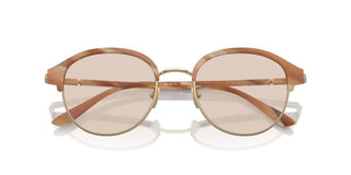 Giorgio Armani Ar 8215 Men Pink Pantos Sunglasses