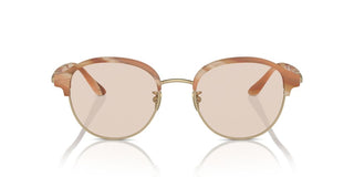 Giorgio Armani Ar 8215 Men Pink Pantos Sunglasses