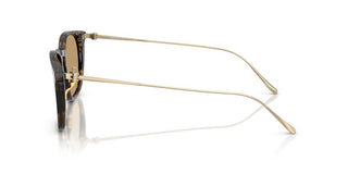 Giorgio Armani AR 8226T men Havana Pantos Sunglasses