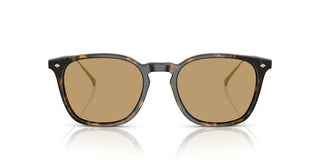 Giorgio Armani AR 8226T men Havana Pantos Sunglasses