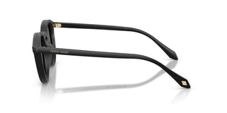 Giorgio Armani Ar 8230u Men Black Pantos Sunglasses