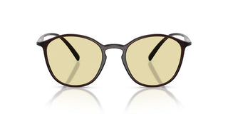 Giorgio Armani AR 8233U men Brown Pantos Sunglasses