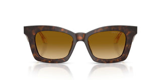 Giorgio Armani AR 8235U women Havana Squared Sunglasses