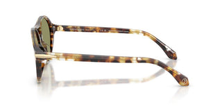 Giorgio Armani AR 8236U men Havana Pilot Sunglasses