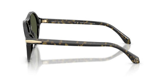 Giorgio Armani AR 8236U men Havana Pilot Sunglasses