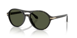Giorgio Armani AR 8236U men Havana Pilot Sunglasses