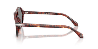 Giorgio Armani AR 8236U men Havana Pilot Sunglasses