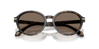 Giorgio Armani AR 8237 women Havana Round Sunglasses