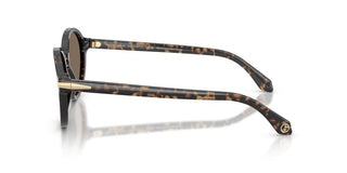 Giorgio Armani AR 8237 women Havana Round Sunglasses