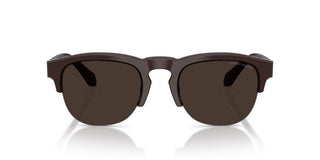 Giorgio Armani AR 8238 men Brown Pantos Sunglasses