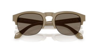 Giorgio Armani AR 8238 men Brown Pantos Sunglasses