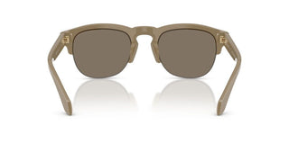 Giorgio Armani AR 8238 men Brown Pantos Sunglasses