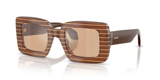 Giorgio Armani AR 8241U women Brown Geometric Sunglasses
