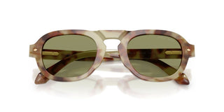 Giorgio Armani Ar 8244 Men Havana Pilot Sunglasses