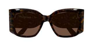 Balenciaga BB0443S women Havana Butterfly Sunglasses