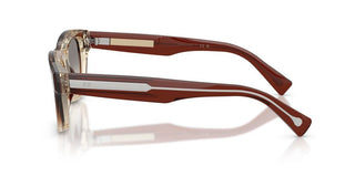 Brunello Cucinelli BC 3016S men Brown Pantos Sunglasses